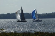 P1020052_1