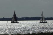 P1020054_1