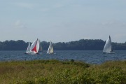 P1020055_1
