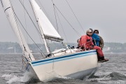 esc_7869_0324