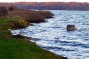 image00005