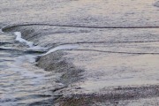 image00015
